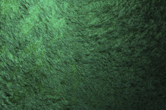 Green Velvet Fabric Texture Background Wallpaper Product Image 1