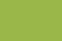 Solid Vibrant Lime Green Color Background Wallpaper Product Image 1