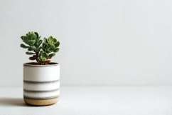 Indoor Potted Plant Background Wallpaper Product Image 1