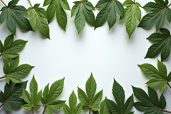 Green Leaves Frame Background Wallpaper Product Image 1