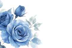Blue Roses with White Background Wallpaper Product Image 1