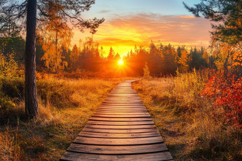 Wooden Walkway Through a Forest Background Wallpaper Product Image 1