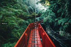 Rain Forest Mobile &amp; Desktop Lightroom Presets Product Image 3