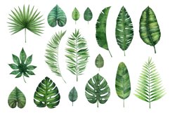 Watercolor Tropical Leaves Clipart Product Image 2