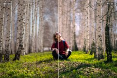 Nature Photoshop Actions Product Image 5