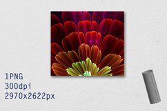 Tumbler Straight 20 OZ Sublimation Flower Wrap Design Product Image 3