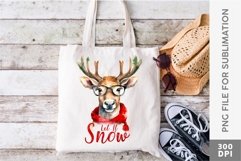 Christmas Reindeer Sublimation Designs Bundle Product Image 3