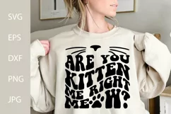 Are You Kitten Me Right Meow SVG, Cat Animal Funny SVG Product Image 2