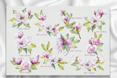 Magnolia flowers watercolor clipart set Product Image 3