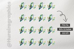 Humming Bird|Printable Animal Sticker Product Image 3