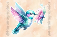 Humming Bird|Printable Animal Sticker Product Image 2