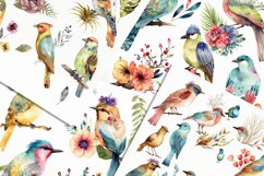 Watercolored Boho Birds Illustrated 12 Variations Product Image 2