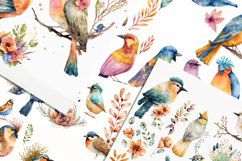 Watercolored Boho Birds Illustrated 12 Variations Product Image 3