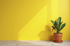 Potted Plant with Yellow Background Wallpaper Product Image 1