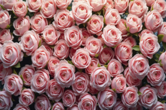 Pink Roses Background Wallpaper Product Image 1