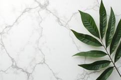 White Marble Backdrop Adorned with Green Leaves Background Product Image 1