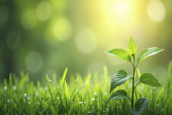 Fresh Leaves and Grass Background Wallpaper Product Image 1