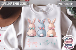 Cute Bunnies Spring Sublimation Design PNG Easter Hoop bunny Product Image 1