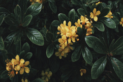 Yellow Flower With Leaves Background Product Image 1