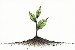 Young Plant Seedling Growing in Soil Background Wallpaper Product Image 1