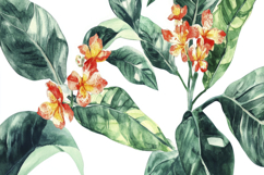 Orange Flowers Green Leaves Background Wallpaper Product Image 1