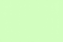 Pastel Green Color Background Wallpaper Product Image 1
