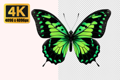 Green and Black Butterfly Transparent PNG Product Image 1