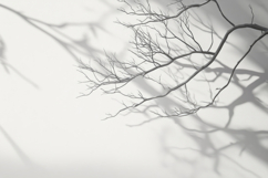 Dead Tree Background Wallpaper Product Image 1