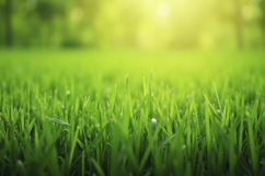 Green Grass Background Wallpaper Product Image 1