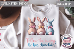 Cute Bunnies Spring Sublimation Design PNG Easter Hoop bunny Product Image 1