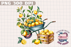 Lemon Sublimation Watercolor PNG Clipart Fruits Flowers Product Image 1
