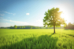 Lush Green Grass and Tree Background Wallpaper Product Image 1