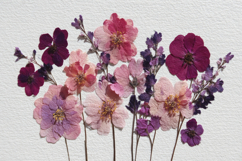Dried Pressed Flowers Background Wallpaper Product Image 1