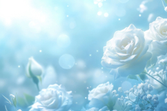 White Rose with Blue Background Wallpaper Product Image 1