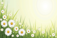 Daisy Flower background Product Image 1