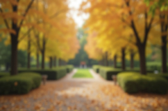 Public Park During the Autumn Season Background Wallpaper Product Image 1