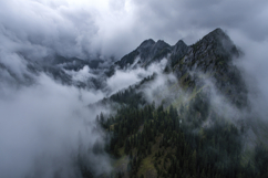 Misty Forested Mountains Background Wallpaper Product Image 1