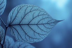 Blue Leaf Background Wallpaper Product Image 1