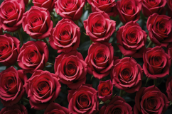 Beautiful Red Roses Background Wallpaper Product Image 1