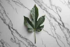 Leaf with Marble Texture Background Wallpaper Product Image 1