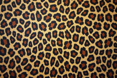 Leopard Print Pattern Background Product Image 1