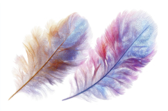 Blue Feather Background Wallpaper Product Image 1