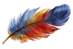 Blue and Orange Feather Background Wallpaper Product Image 1