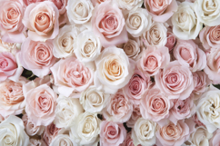 Damask Rose Background Wallpaper Product Image 1