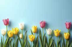 Tulips on a Blue Background Wallpaper Product Image 1