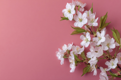 White Flowers on a Pink Background Wallpaper Product Image 1