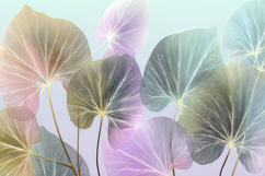Eucalyptus Leaf Background Product Image 1