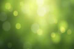 Green Bokeh Effect Background Wallpaper Product Image 1