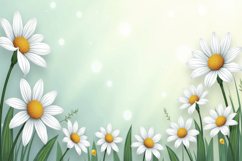 White Flowers Background Wallpaper Product Image 1