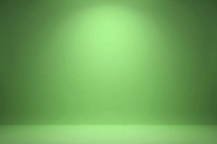 Green Studio Background Wallpaper Product Image 1